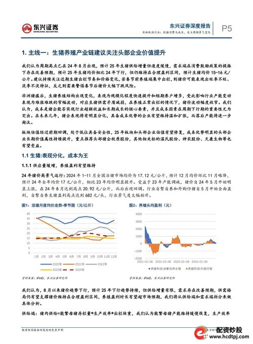 农林牧渔行业2025年中期投资策略_牛策略_生猪防御优势