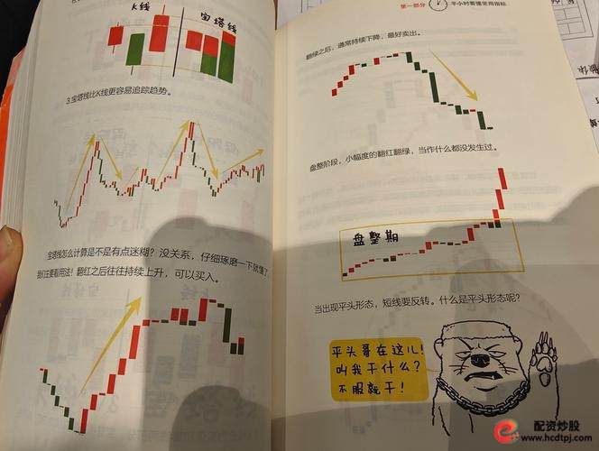 杠杆股票理解路径_杠杆股票案例分析_杠杆炒股是什么意思