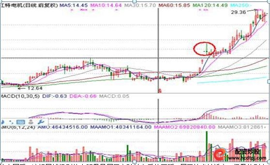 A股散户亏损分析_怎么买股票_散户投资失败原因