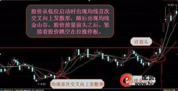 经典炒股之路，免费短剧等你来观