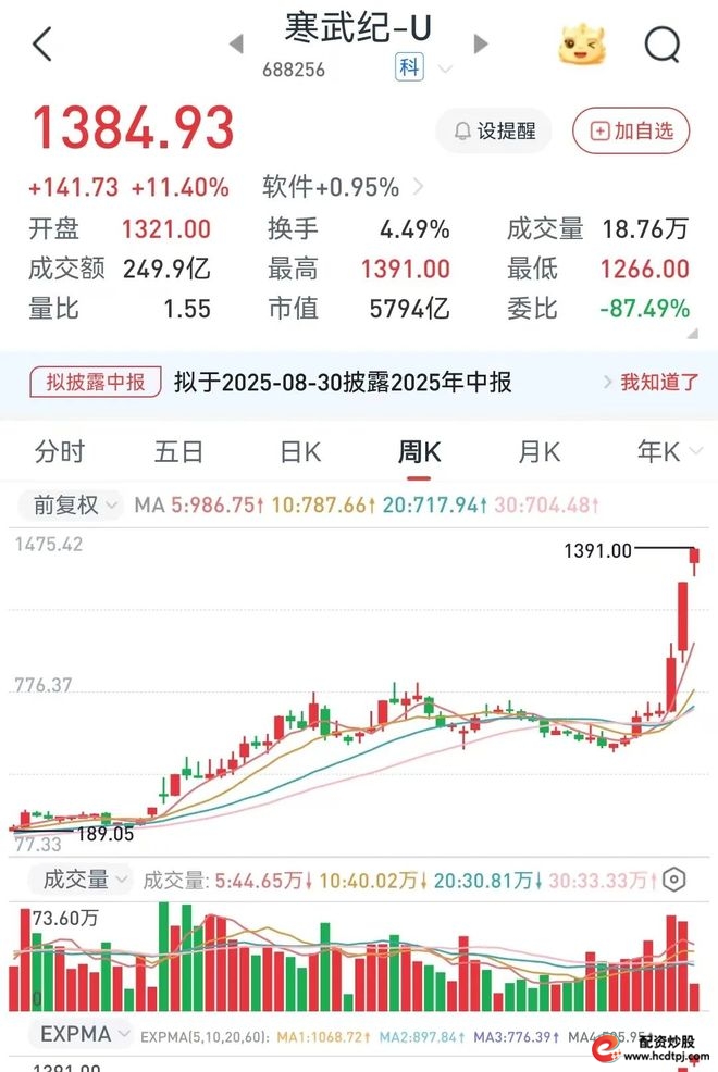 寒武纪投资分析_A股散户投资价值_在线股票配资公司