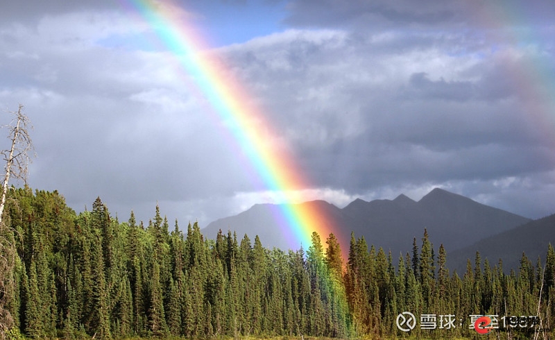 加杠杆投资策略_a股杠杆怎么开通_杠杆风险控制