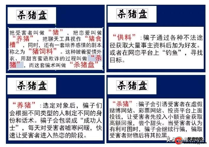 南京百万元杀猪盘电诈案件_南京杀猪盘案件受害人学历_南京股票配资平台
