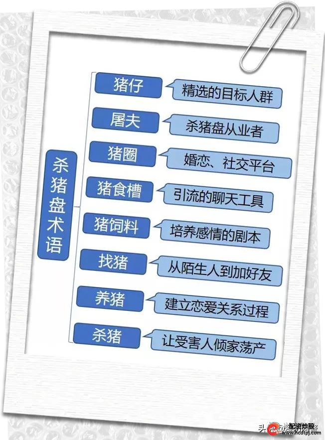 南京百万元杀猪盘电诈案件_南京杀猪盘案件受害人学历_南京股票配资平台