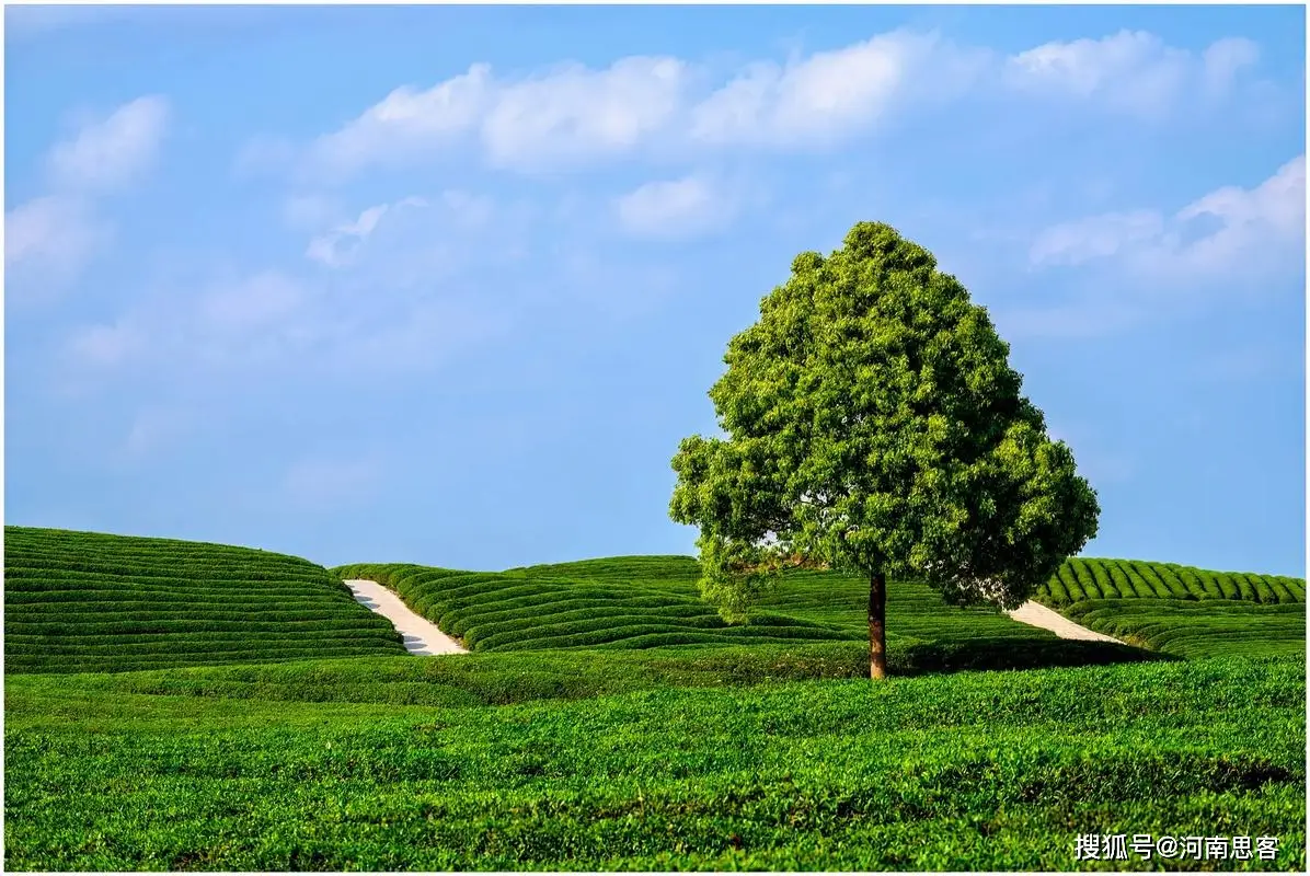 炒股赚钱_炒股择偶标准_股民社会形象变迁