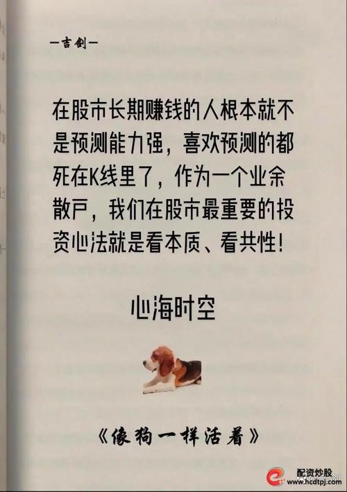 投资修行_5000元炒股一年赚多少_理性投资策略