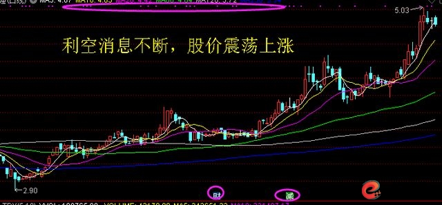 投资修行_5000元炒股一年赚多少_理性投资策略