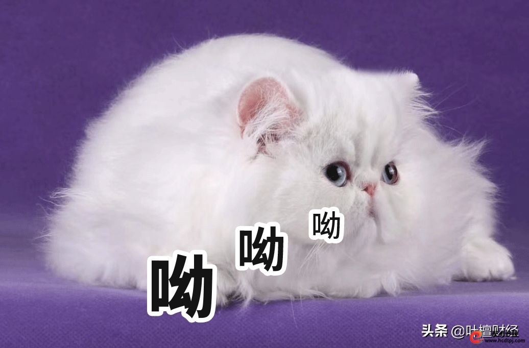 银行理财子公司证券账户开立_股票可以杠杆吗_银行理财子公司投资股票