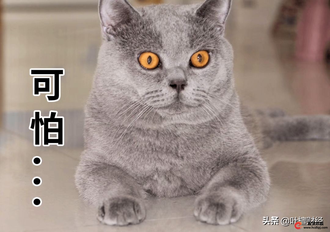 银行理财子公司投资股票_银行理财子公司证券账户开立_股票可以杠杆吗