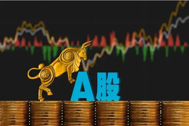 华林优配非法资金链揭露_华林优配_华林优配跨境洗钱调查